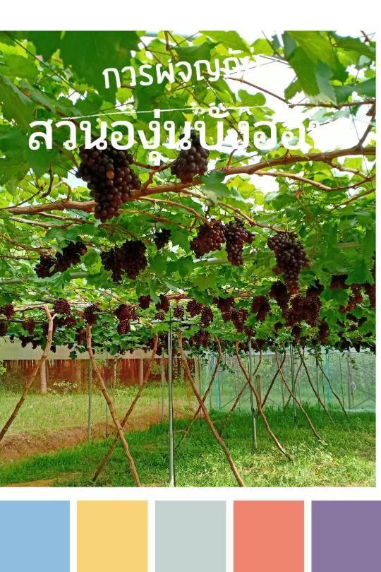 Bang Hon Homestay 阁遥岛 外观 照片