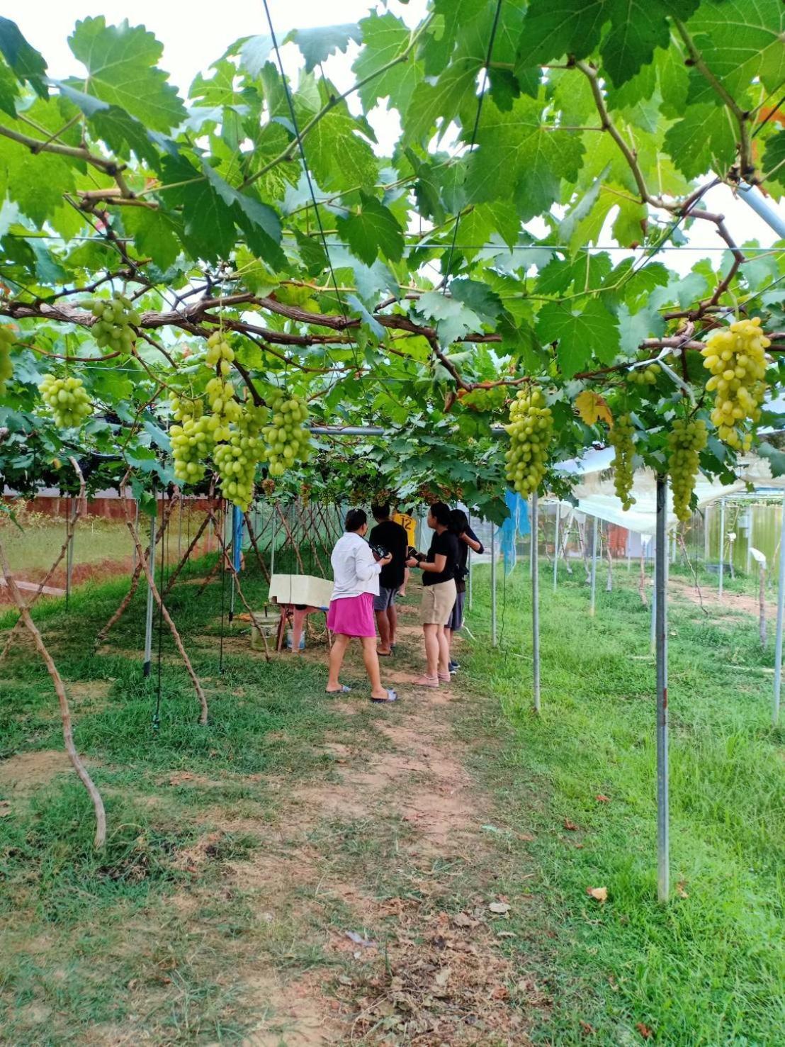 Bang Hon Homestay 阁遥岛 外观 照片